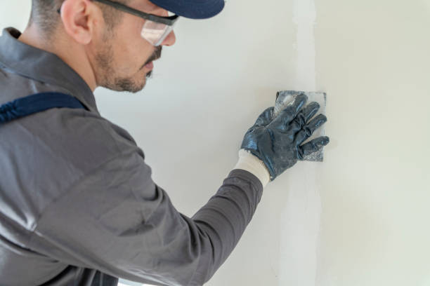 Best Fire-Damaged Drywall Repair  in South Pekin, IL